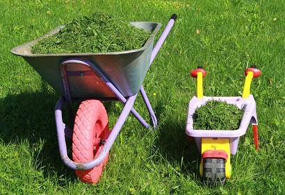Instant Lawn