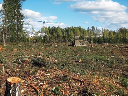 Site Clearance