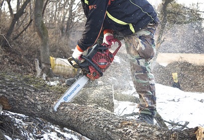 Tree Felling